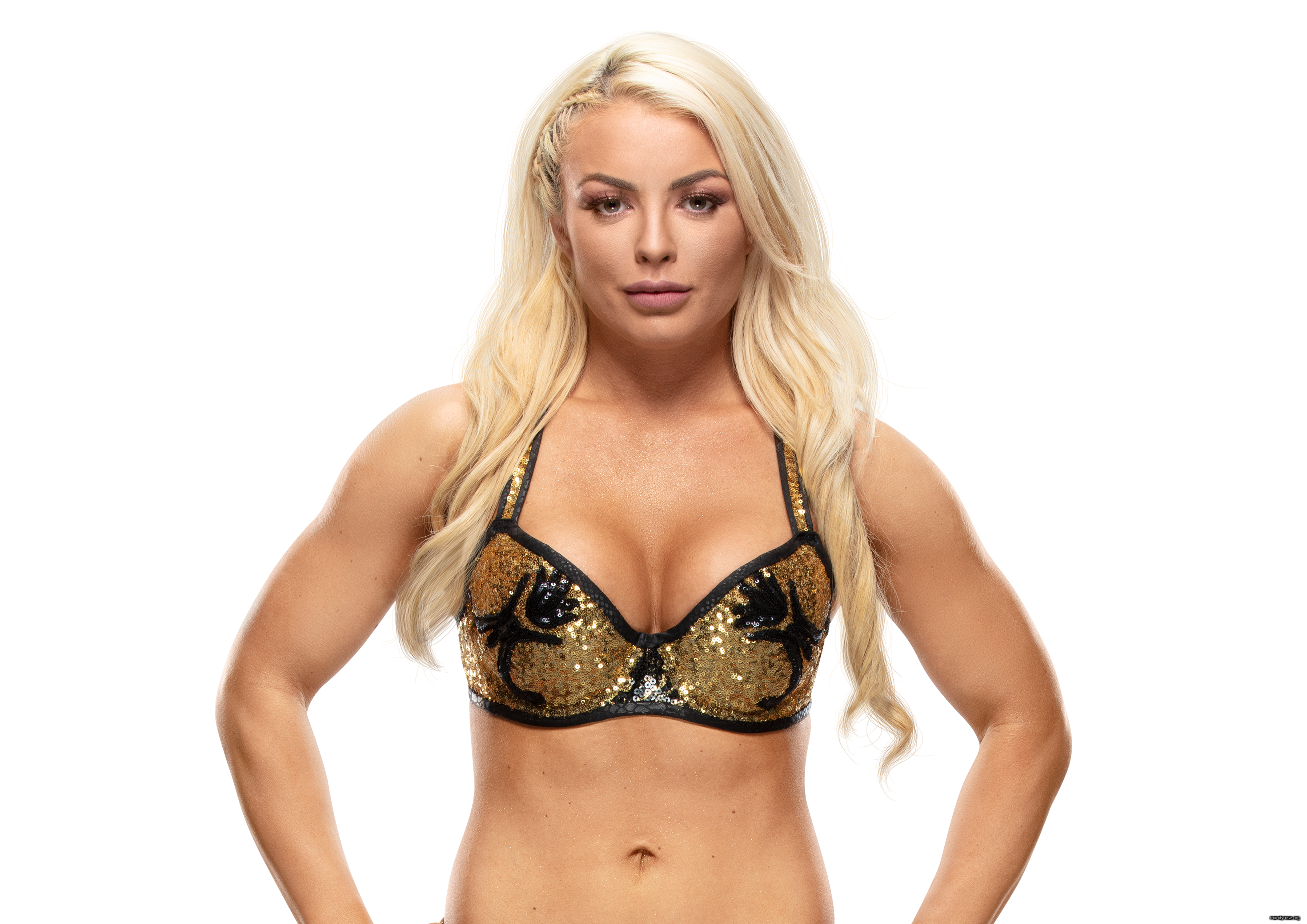 Mandy_Rose_Pro--7e7db864a832ca8c07d73691c274eac8.png