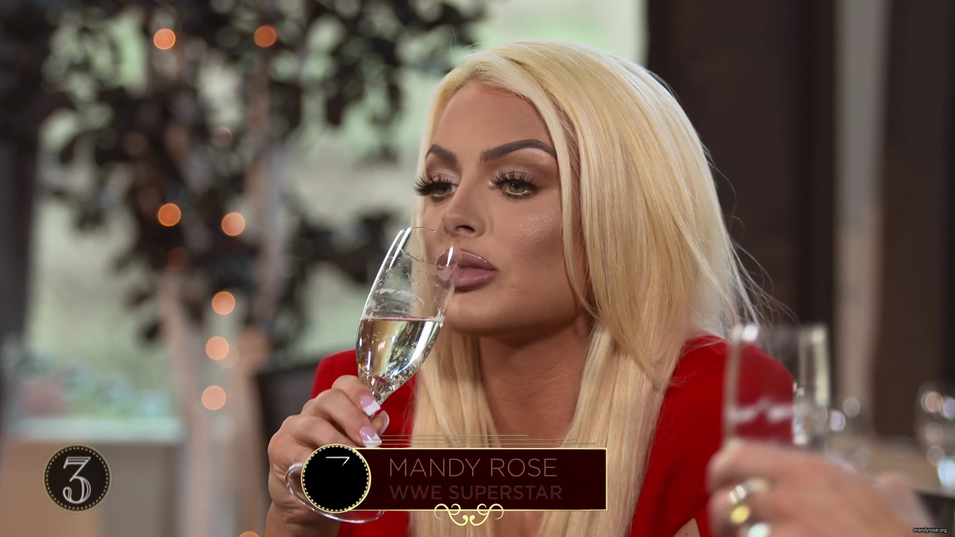 WWE_Table_For_3_S05E07_Ladies_Luncheon_1080p_WEB_h264-HEEL_mp40030.jpg