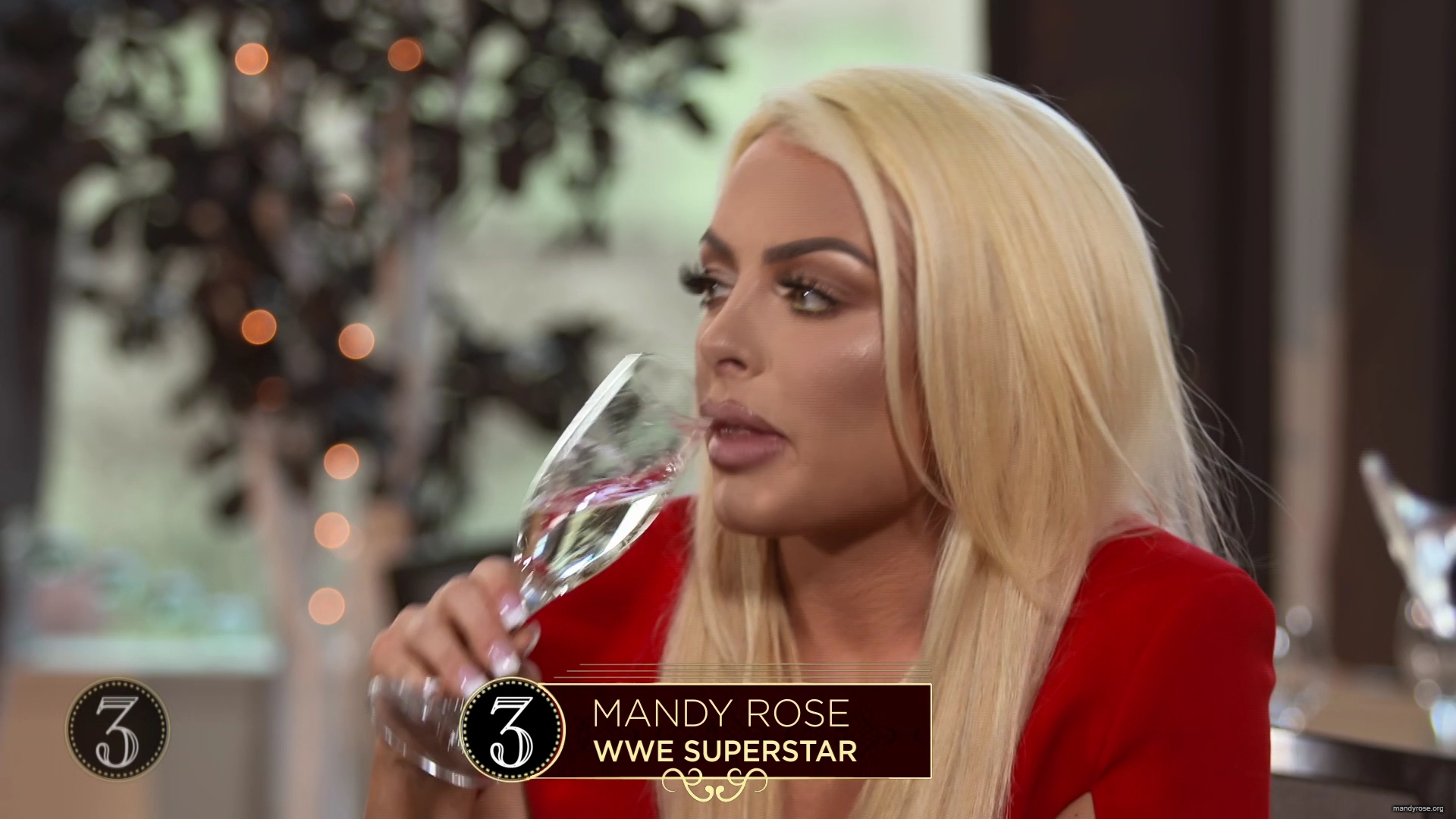 WWE_Table_For_3_S05E07_Ladies_Luncheon_1080p_WEB_h264-HEEL_mp40032.jpg